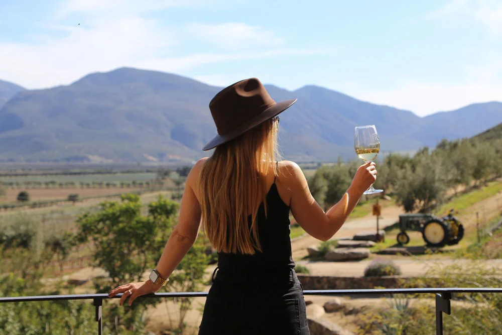 Valle de Guadalupe